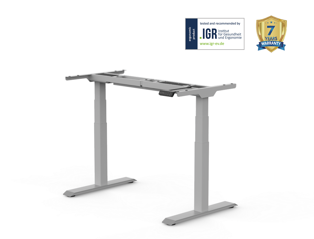 Flexispot Silver Premium Standing Desk Series